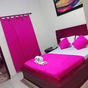 Flamingo Barranquilla (Atlantico)